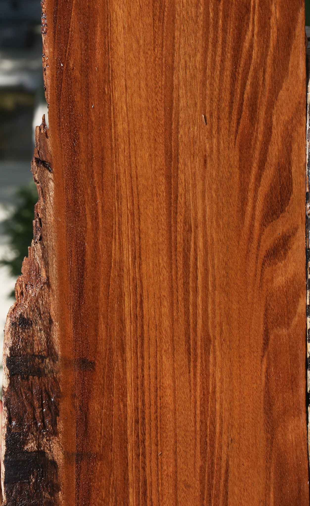Angelim Pedra Live Edge Lumber
