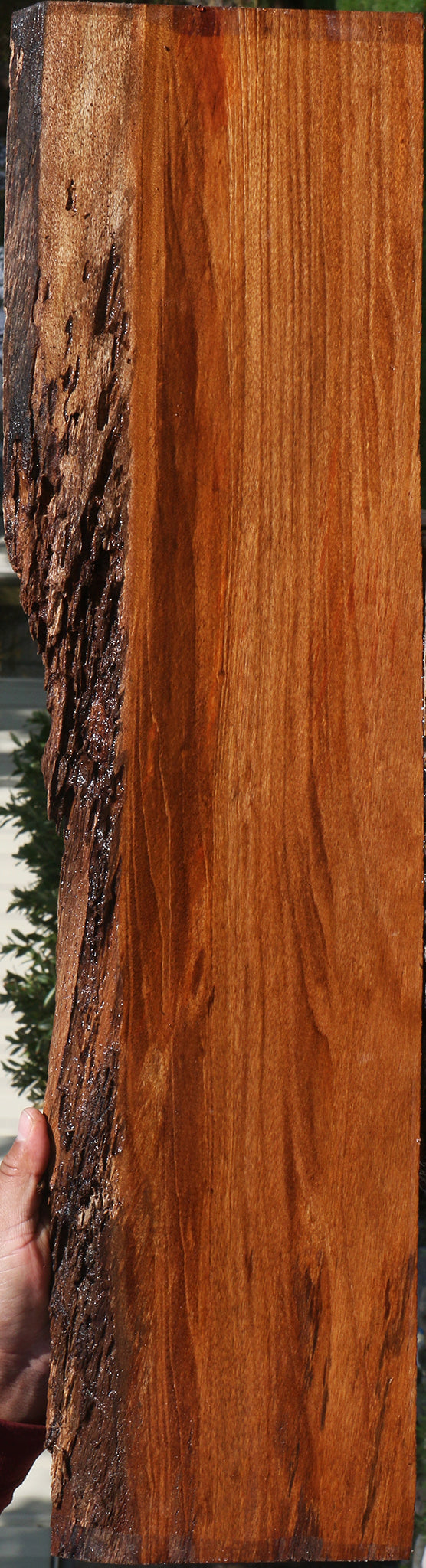 Angelim Pedra Live Edge Lumber