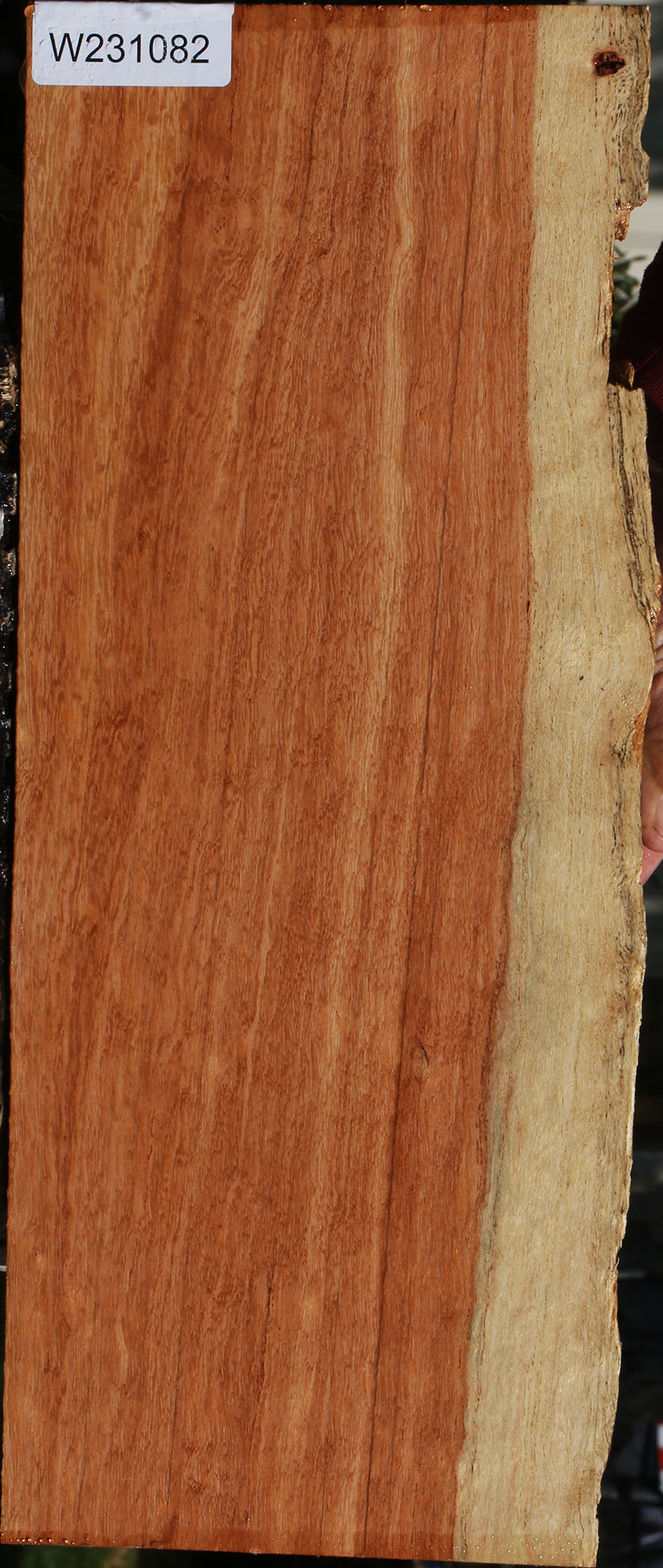 Mansonia Live Edge Lumber