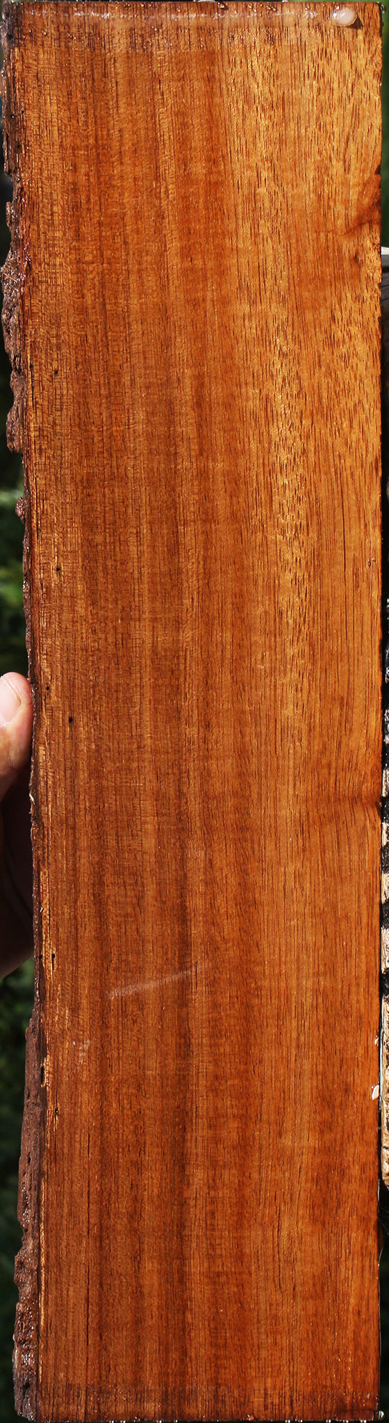 Angelim Pedra Live Edge Lumber