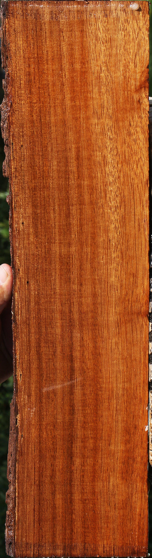 Angelim Pedra Live Edge Lumber