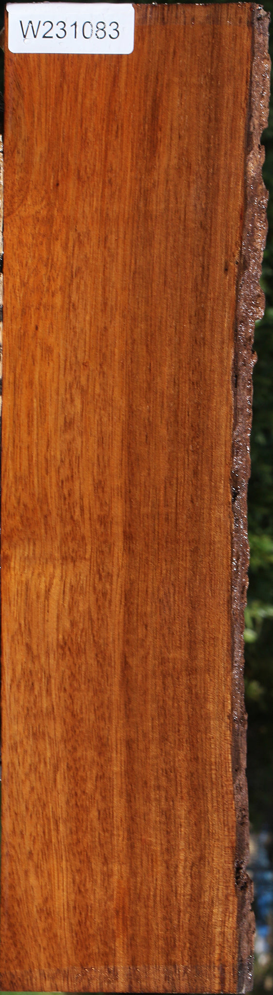 Angelim Pedra Live Edge Lumber