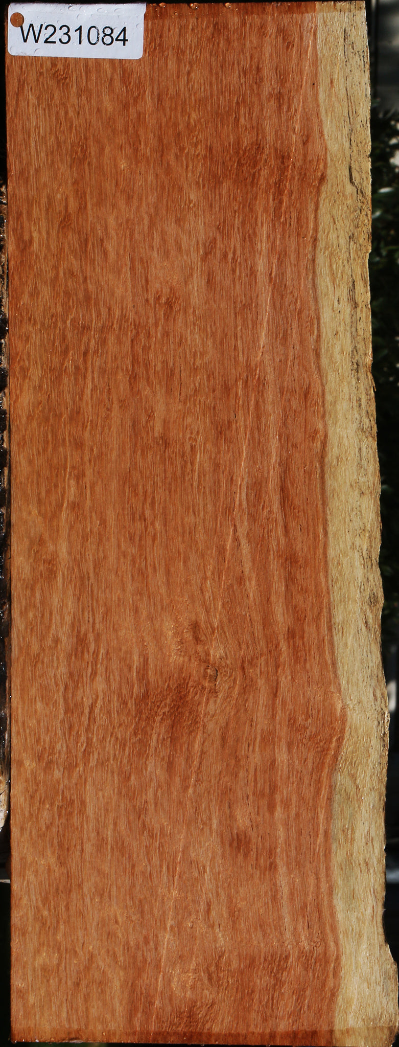 Mansonia Live Edge Lumber