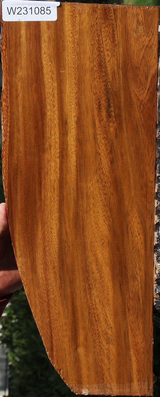 Bloodwood Lumber