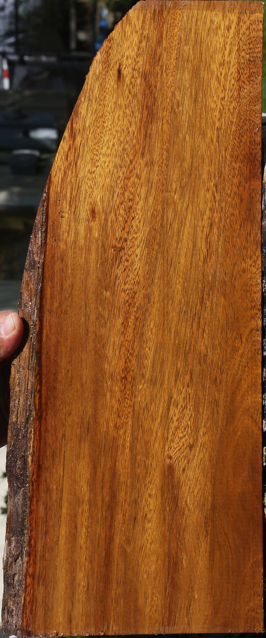 Bloodwood Lumber