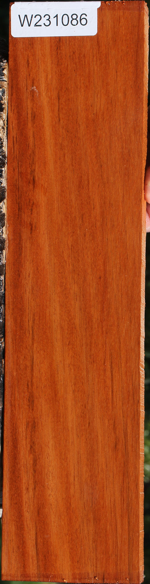 Angelim Pedra Lumber