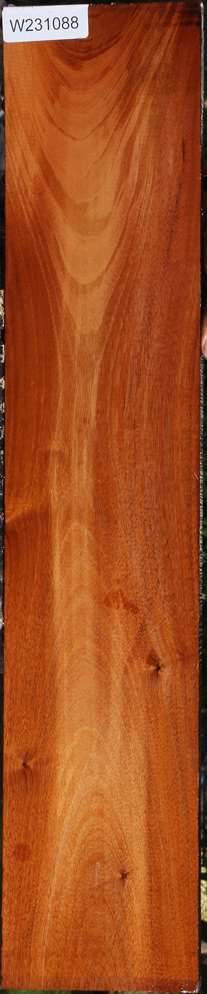 Goncalo Alves Lumber