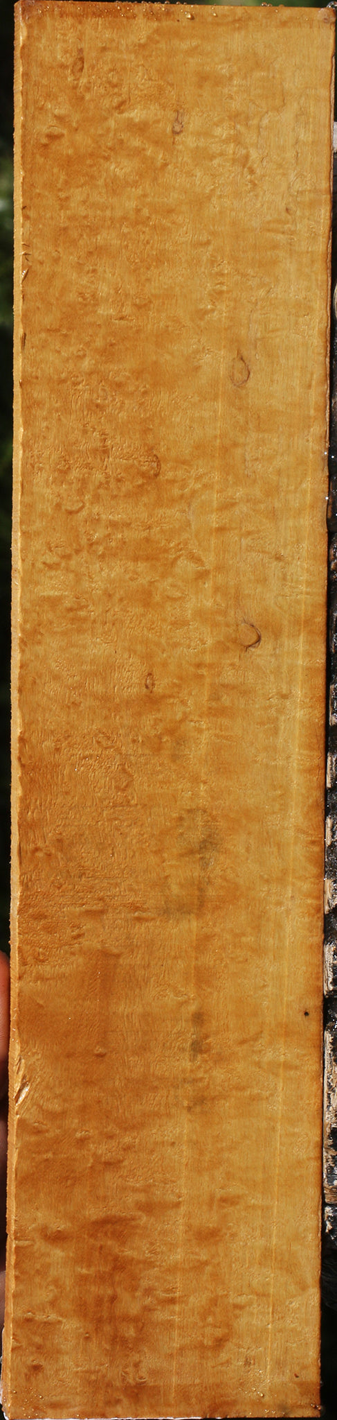 Exhibition Timborana Micro Lumber