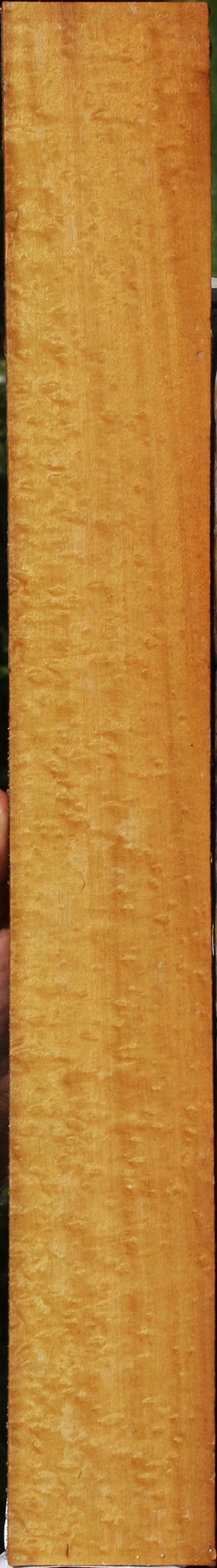 Figured Timborana Micro Lumber