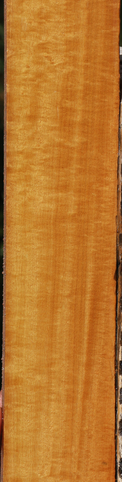 Figured Timborana Micro Lumber