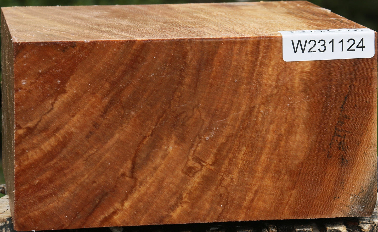 Sycamore Bowl Blank