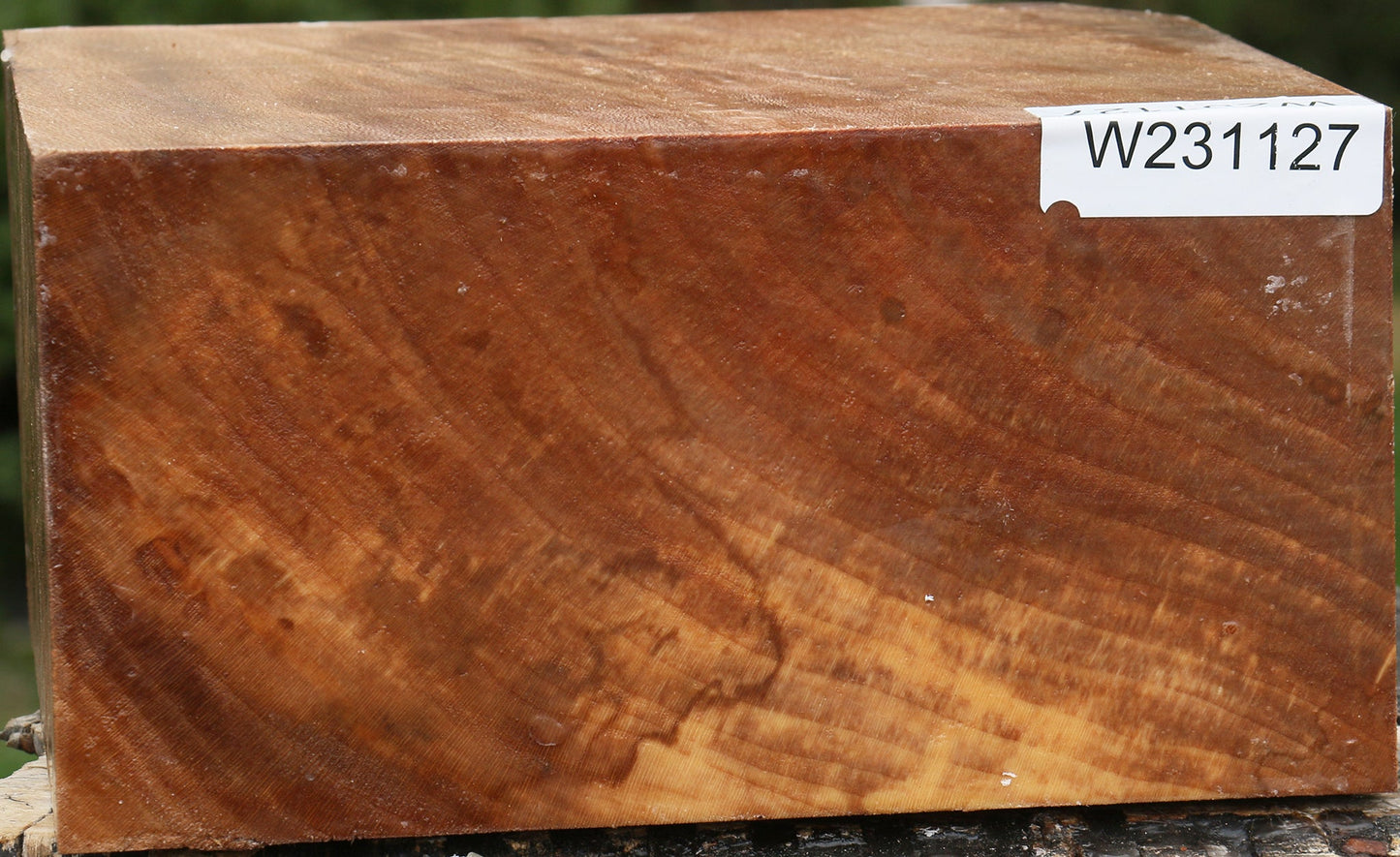 Sycamore Bowl Blank