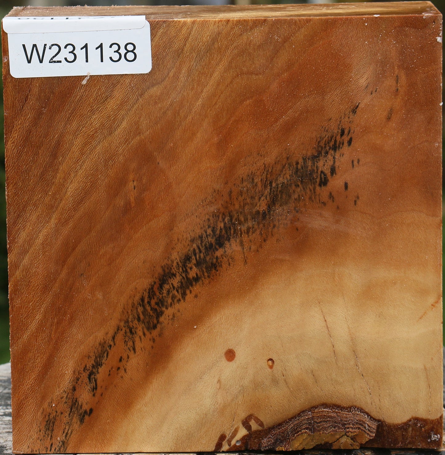 Sycamore Bowl Blank