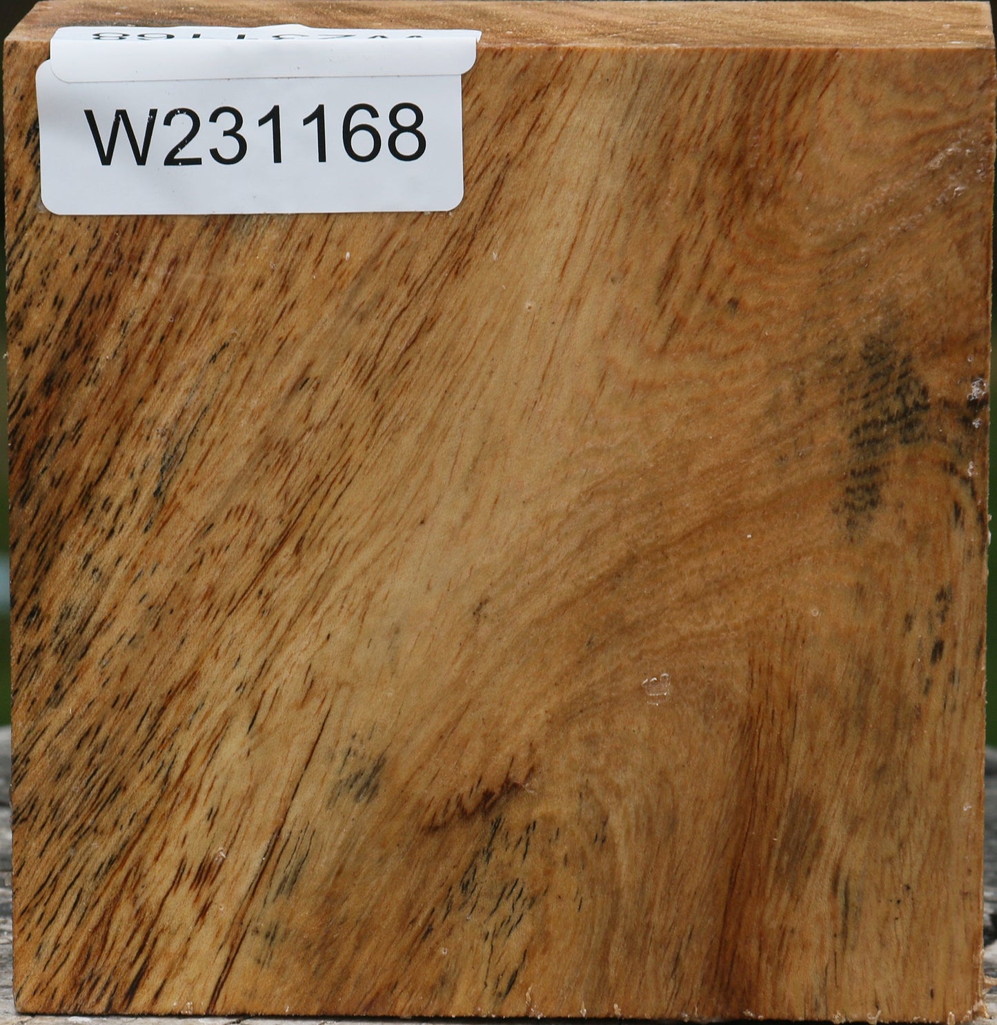 Sycamore Bowl Blank