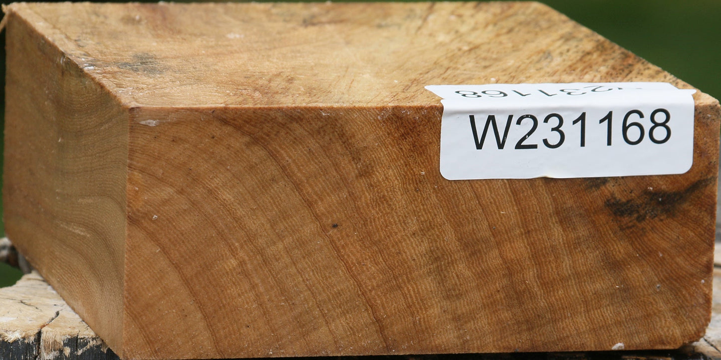 Sycamore Bowl Blank