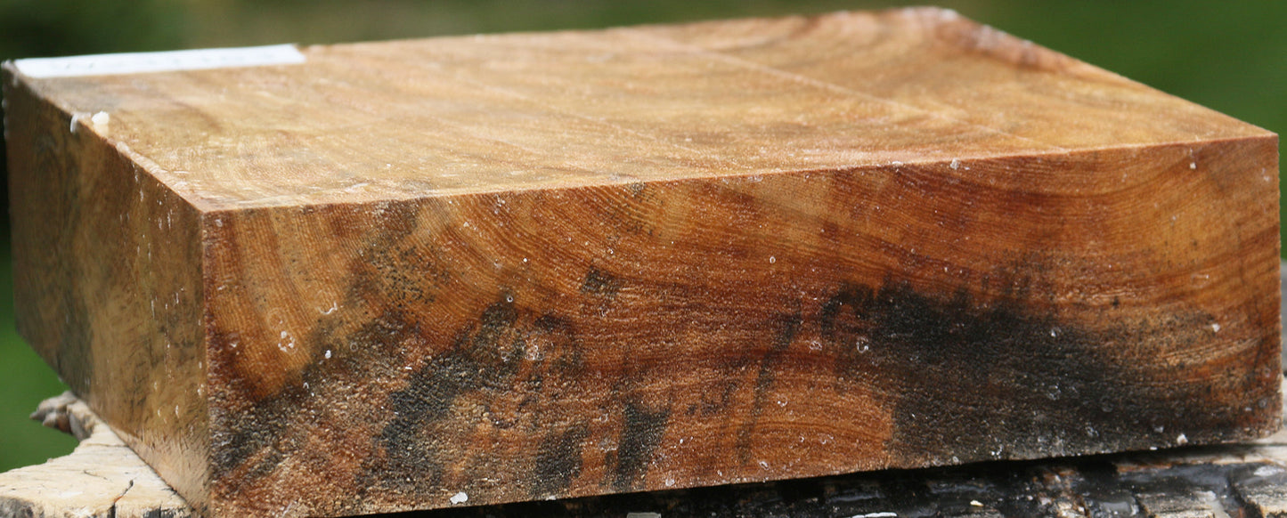 Sycamore Bowl Blank
