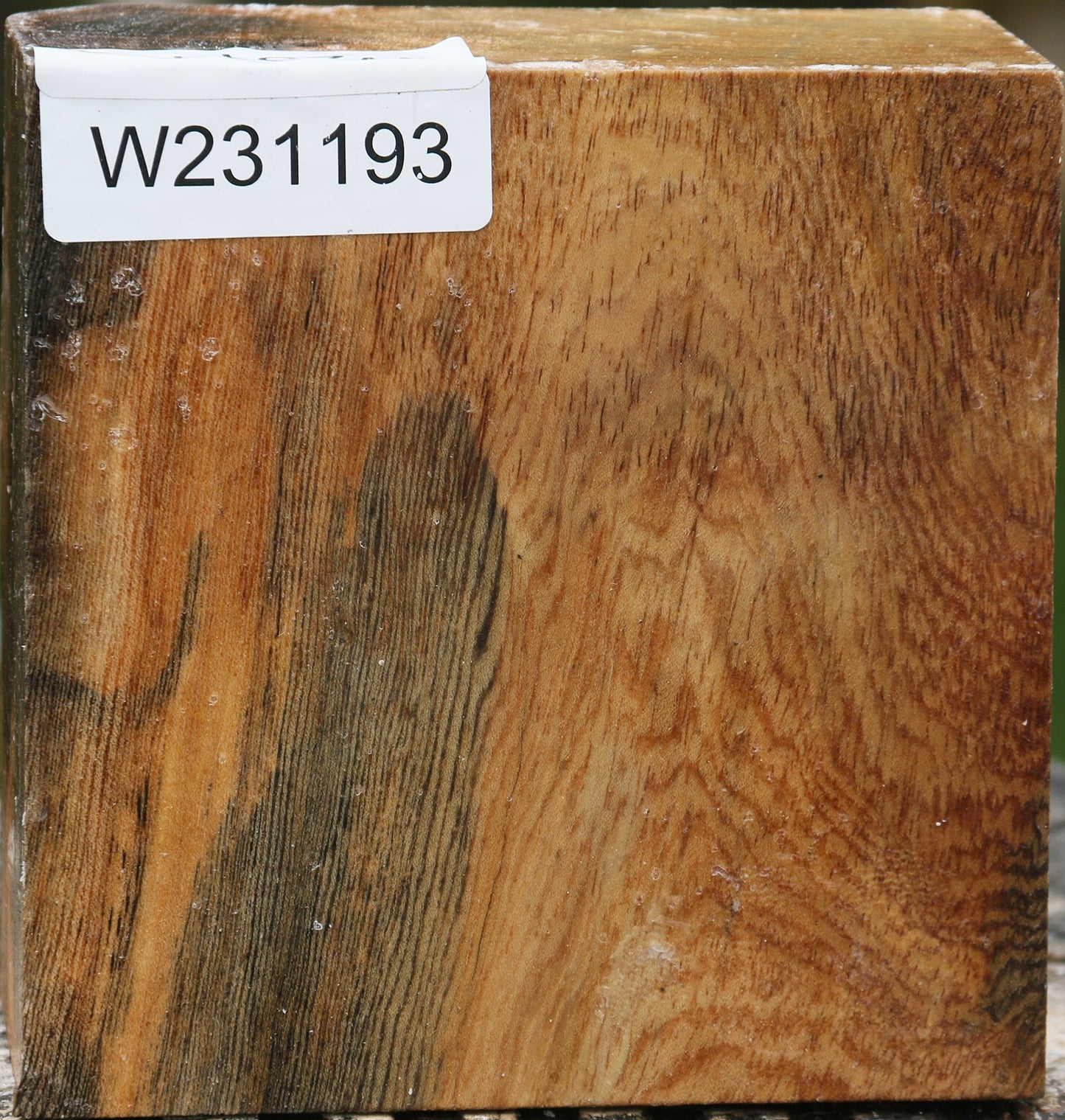 Sycamore Bowl Blank