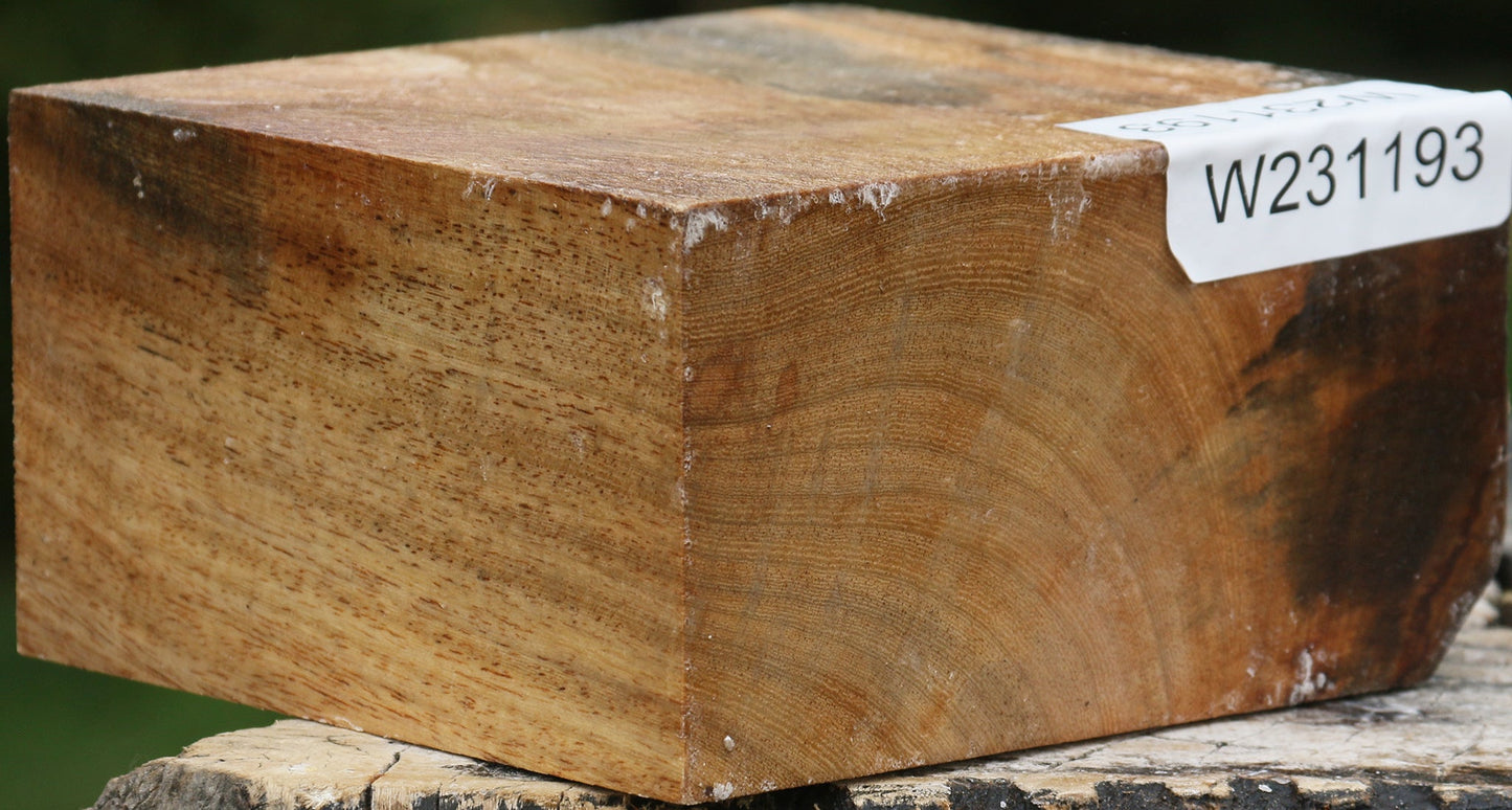 Sycamore Bowl Blank