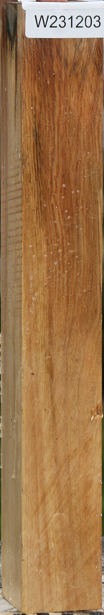 Sycamore Turning Square