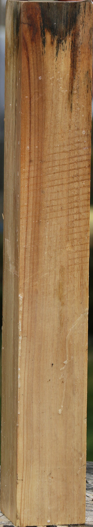 Sycamore Turning Square