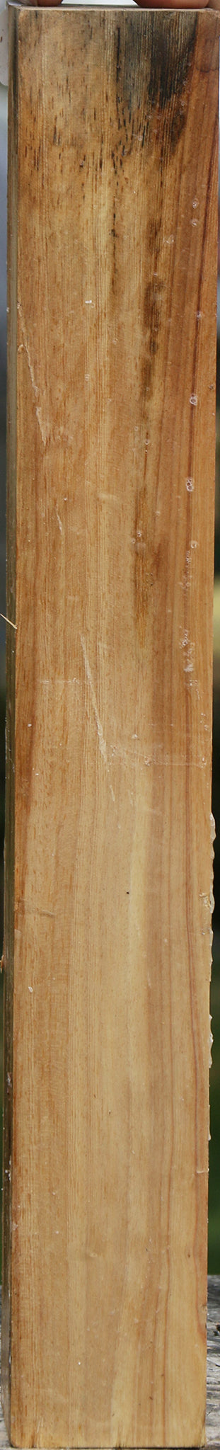 Sycamore Turning Square