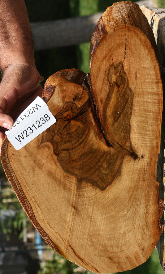 Rustic Pistachio Live Edge Lumber