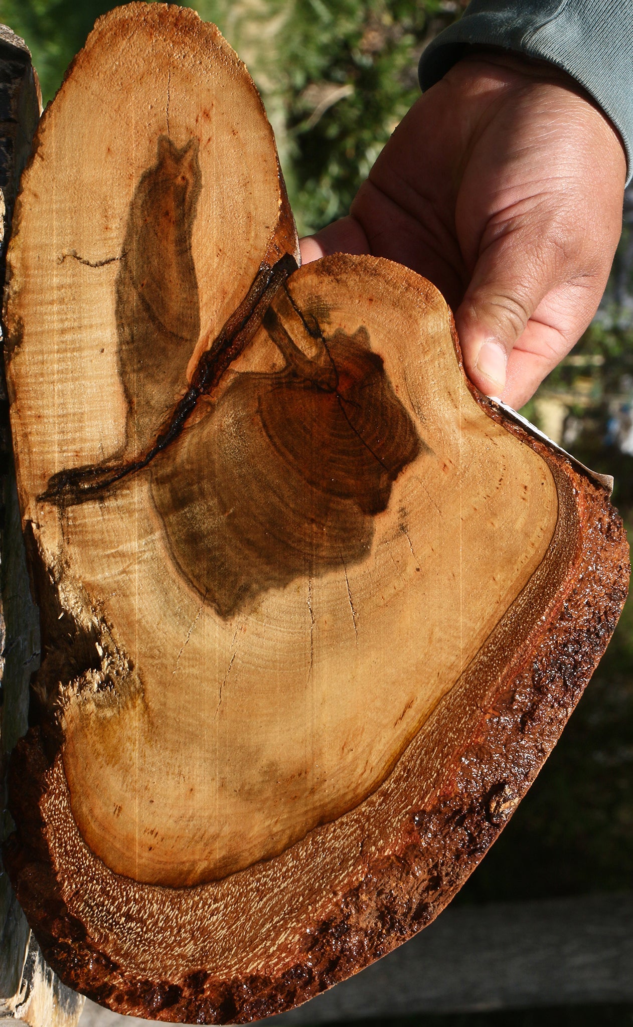 Rustic Pistachio Live Edge Lumber