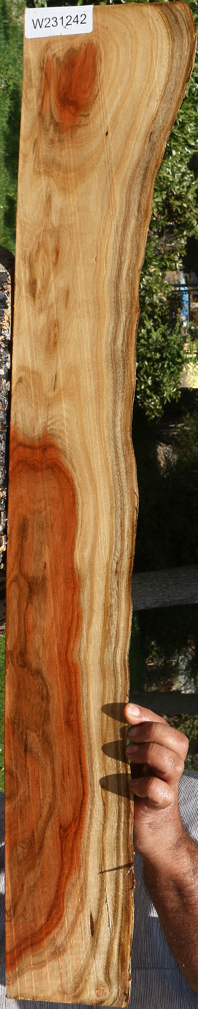 Pistachio Live Edge Lumber