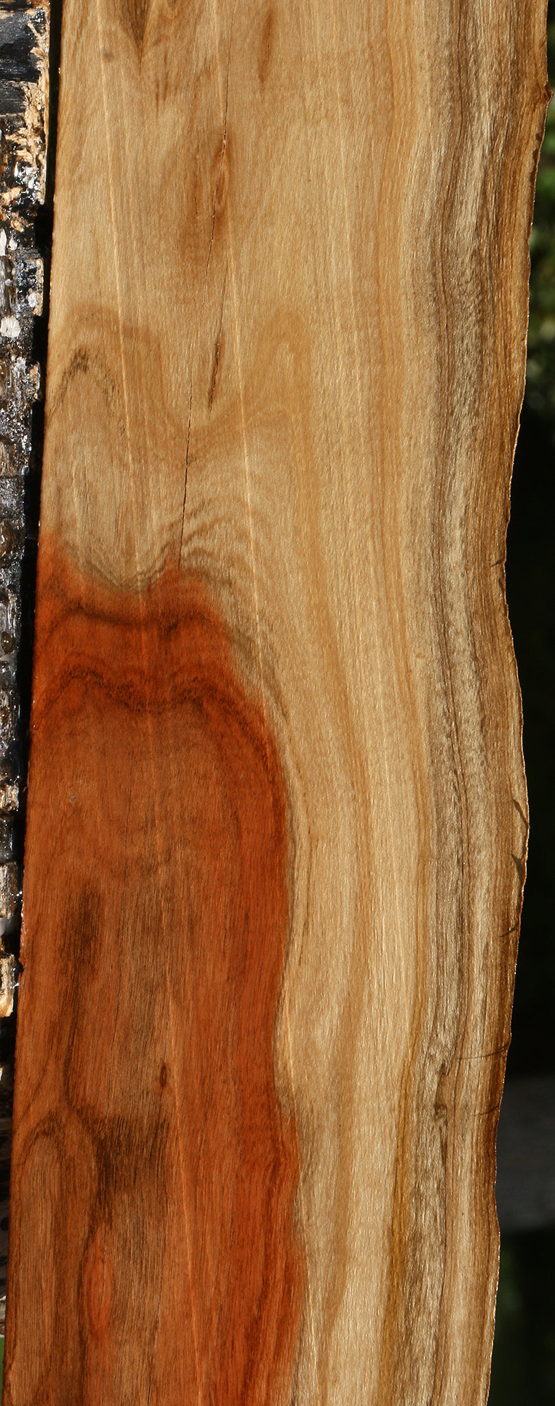 Pistachio Live Edge Lumber