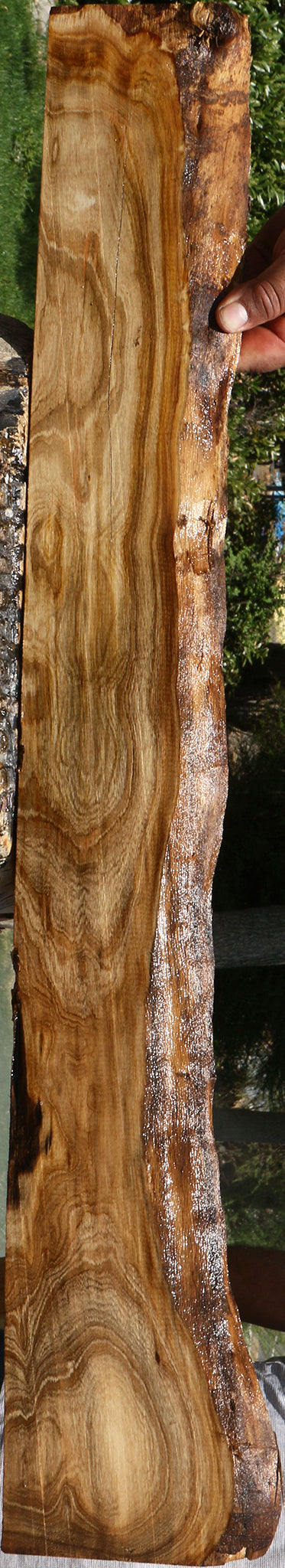 Pistachio Live Edge Lumber