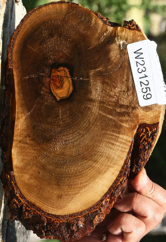 Rustic Pistachio Live Edge Lumber