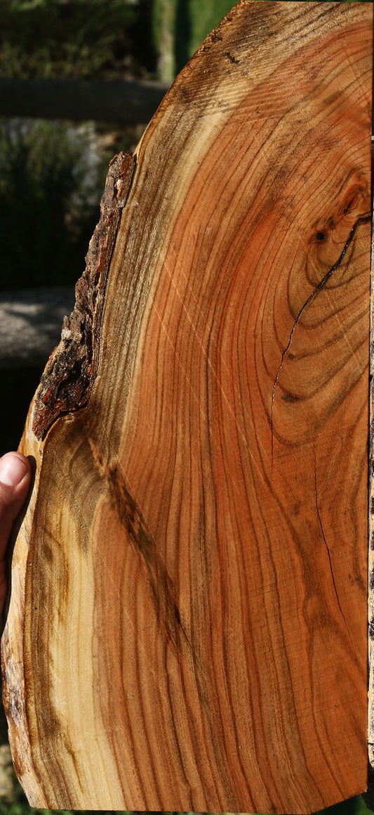 Extra Fancy Pistachio Live Edge Lumber