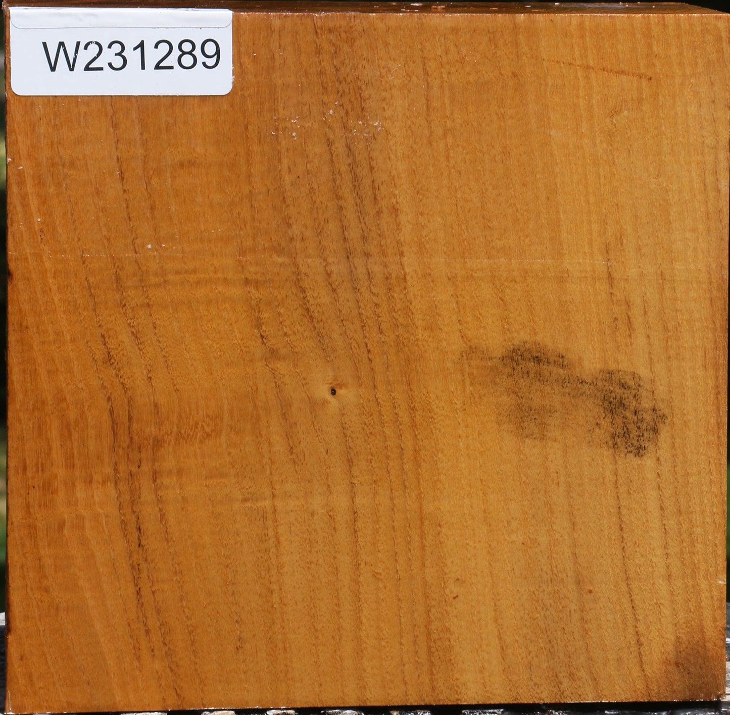 Silver Wattle Bowl Blank