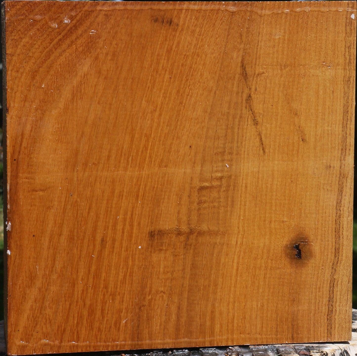 Silver Wattle Bowl Blank