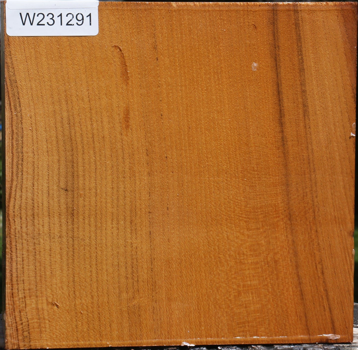 Silver Wattle Bowl Blank