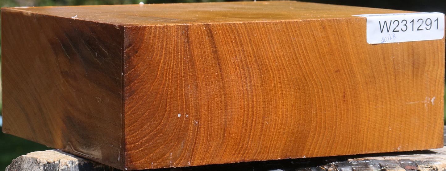 Silver Wattle Bowl Blank