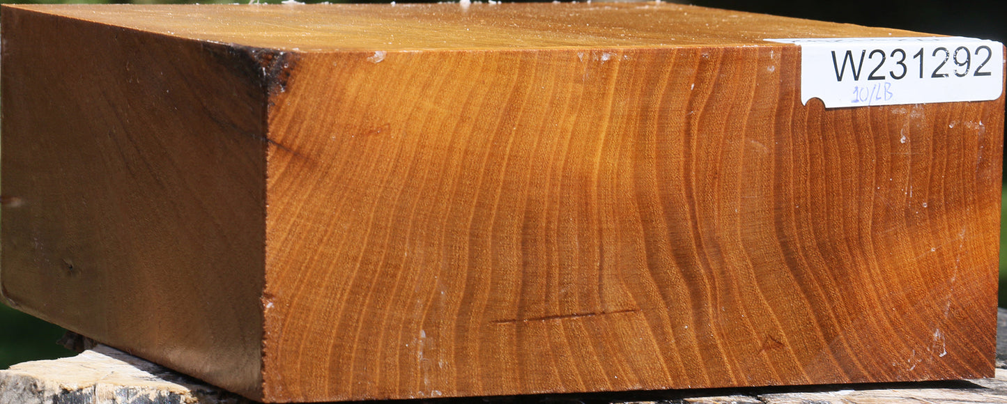 Silver Wattle Bowl Blank