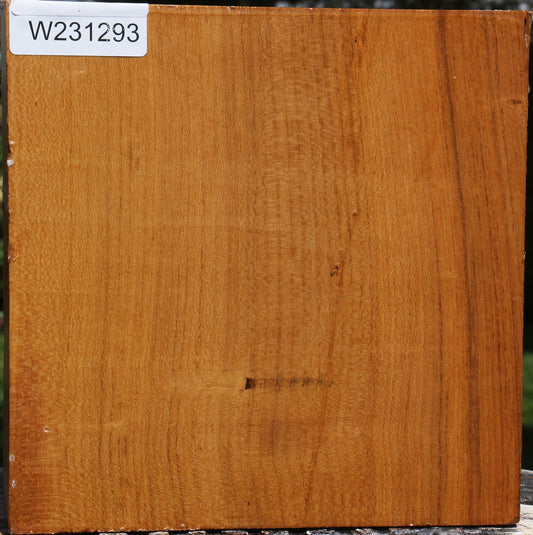 Silver Wattle Bowl Blank