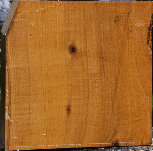 Silver Wattle Bowl Blank