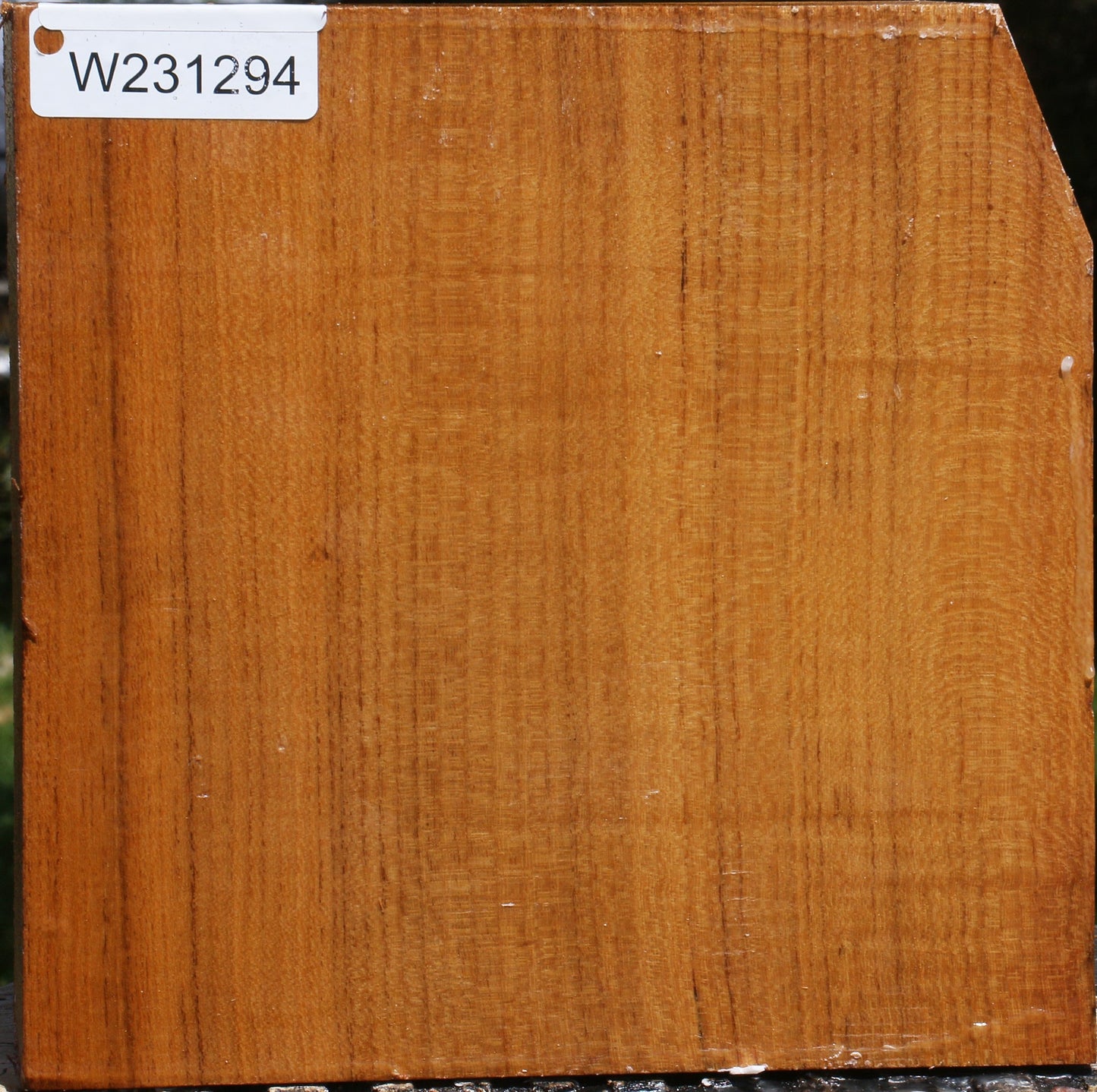 Silver Wattle Bowl Blank