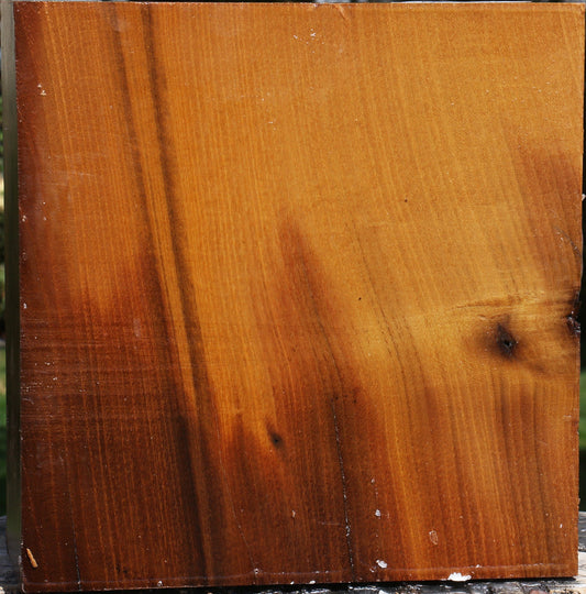 Silver Wattle Bowl Blank