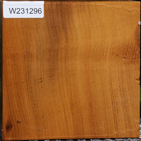 Silver Wattle Bowl Blank