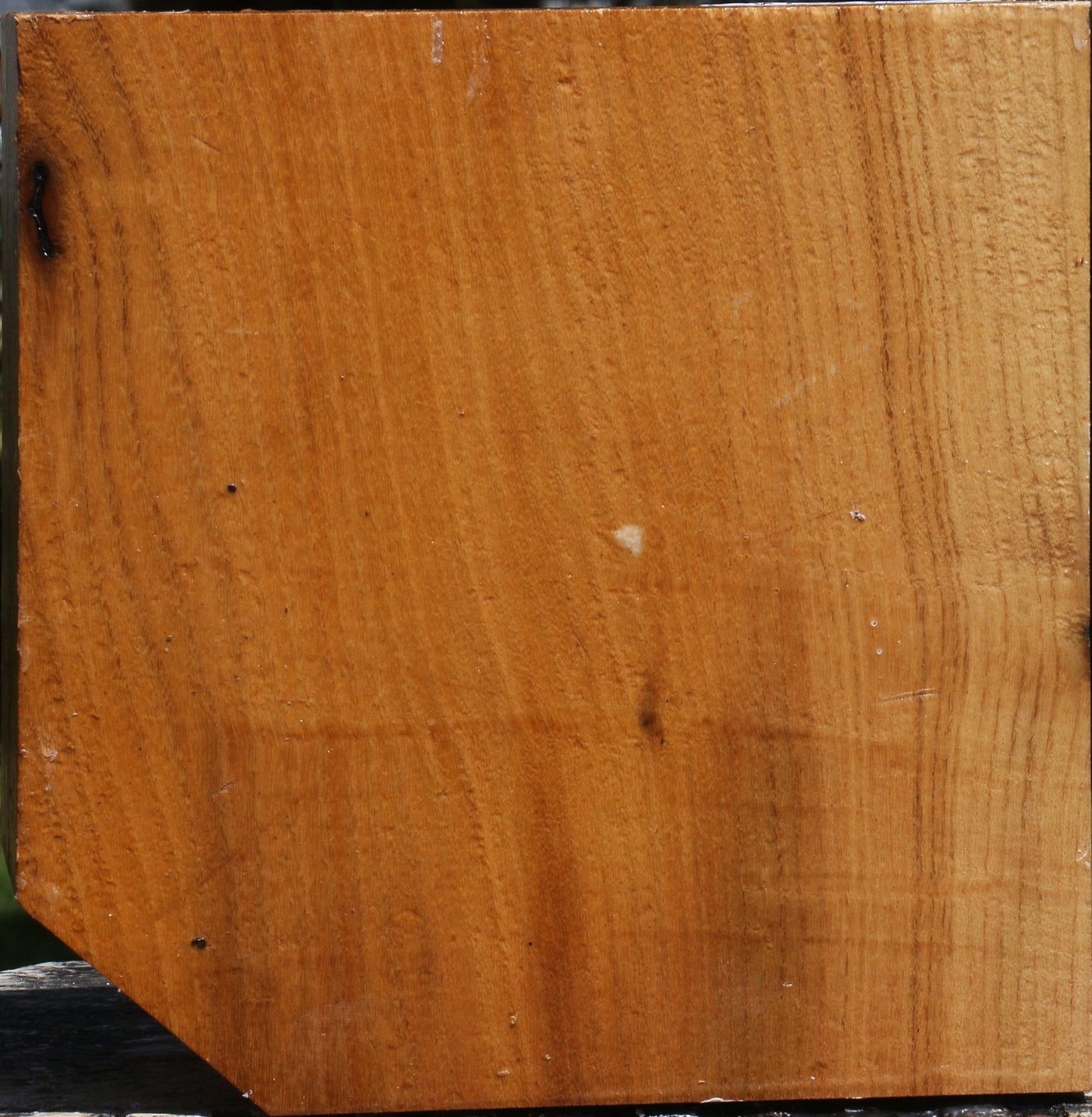 Silver Wattle Bowl Blank