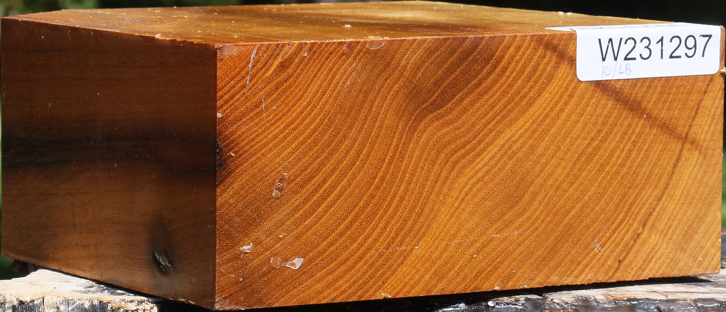 Silver Wattle Bowl Blank