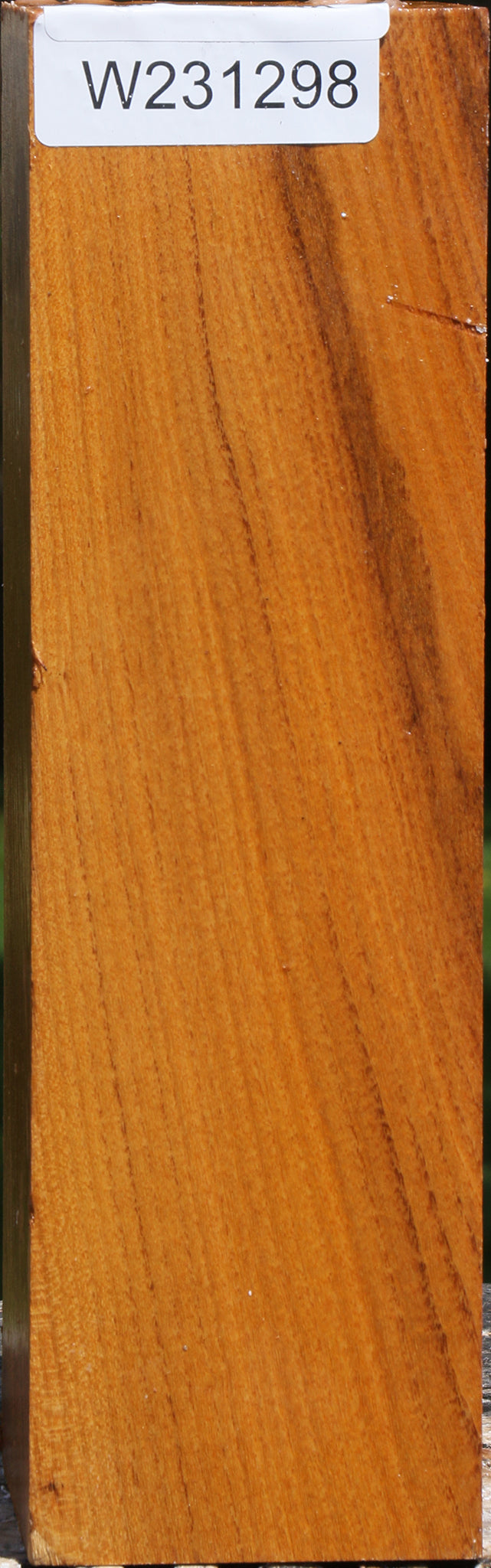 Silver Wattle Peppermill