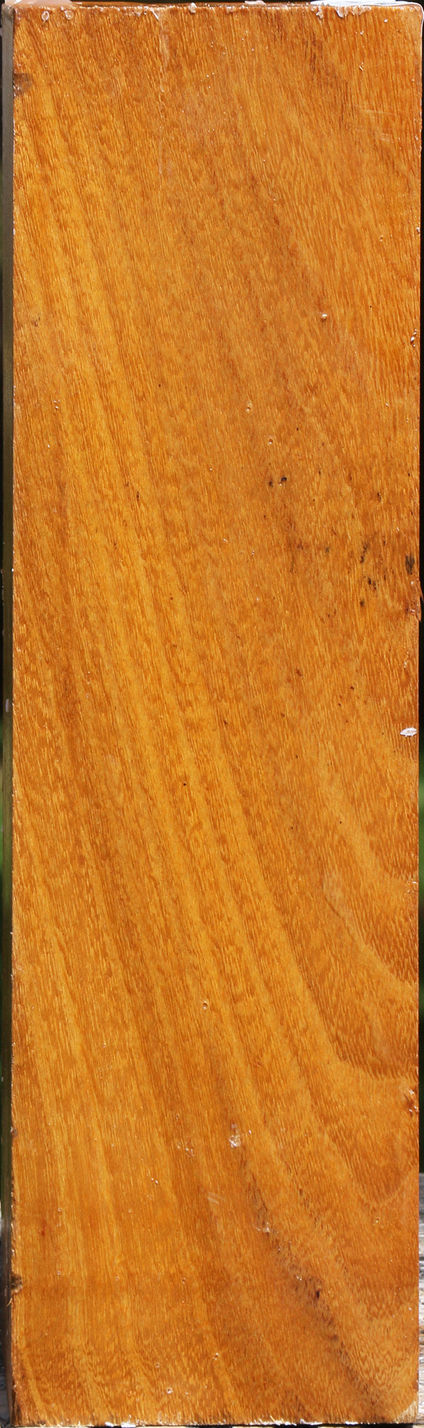 Silver Wattle Peppermill