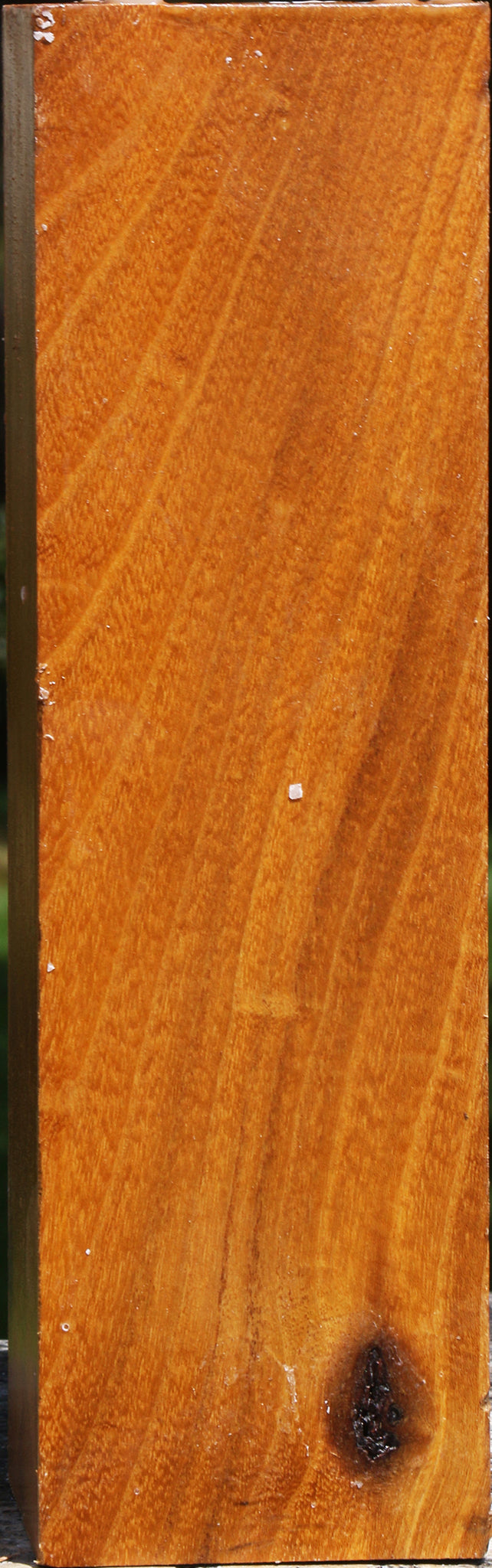 Silver Wattle Peppermill