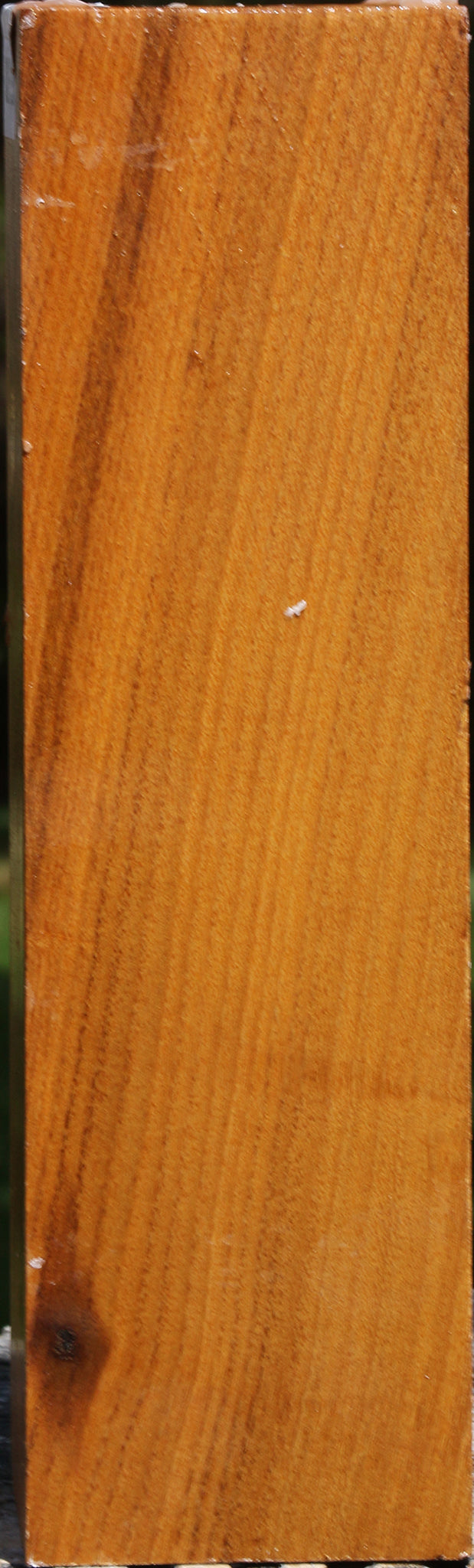 Silver Wattle Peppermill