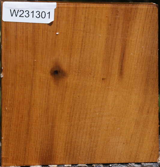 Silver Wattle Bowl Blank