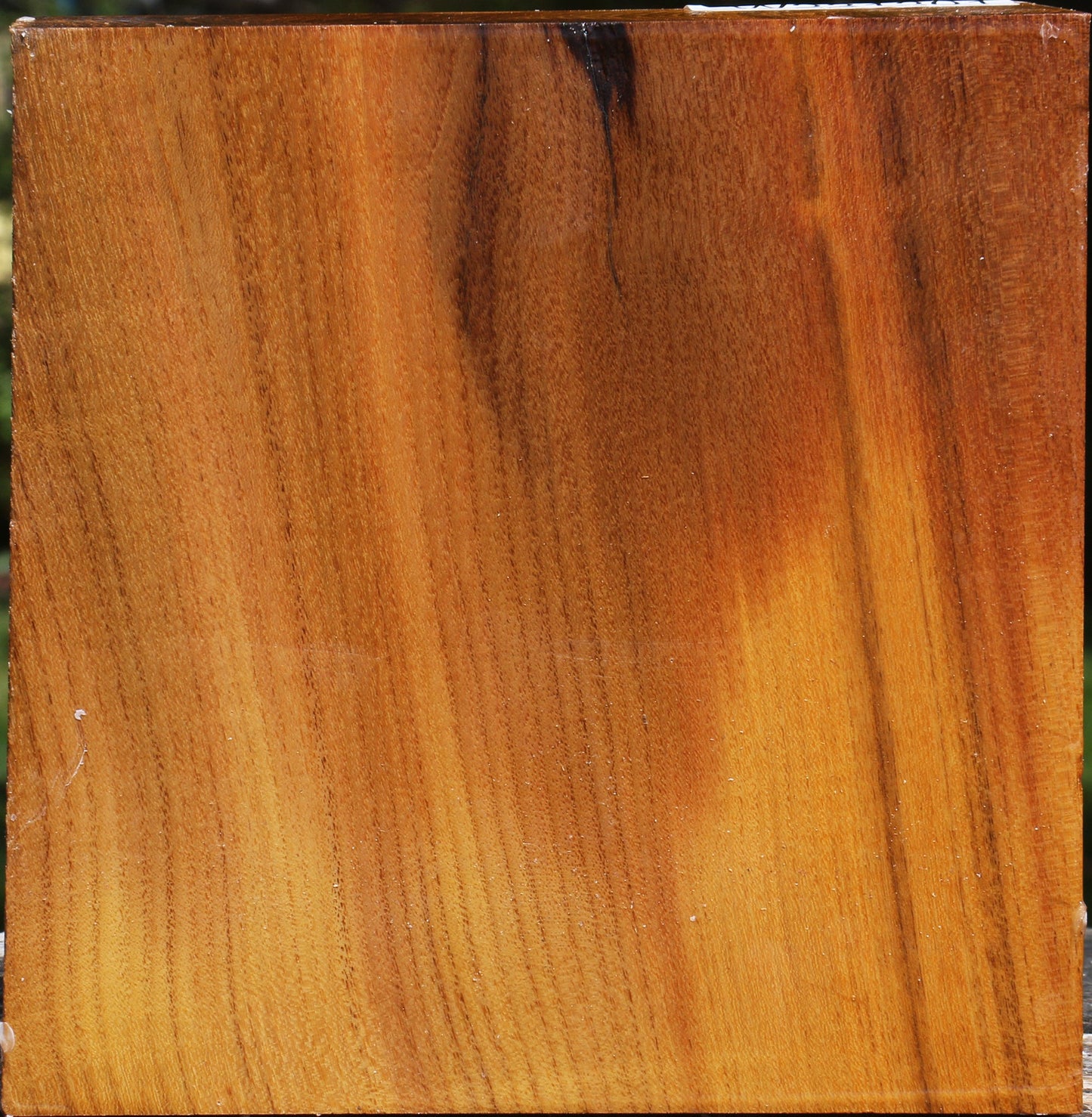 Silver Wattle Bowl Blank